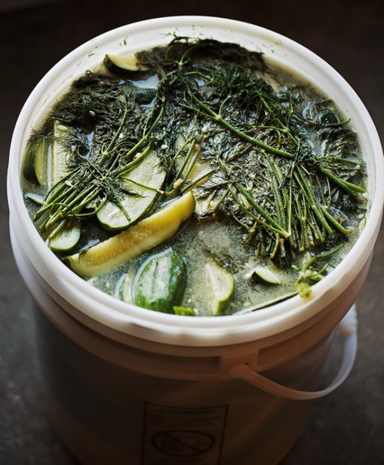 Dill-Mustard Pickles from Baking  by Hand